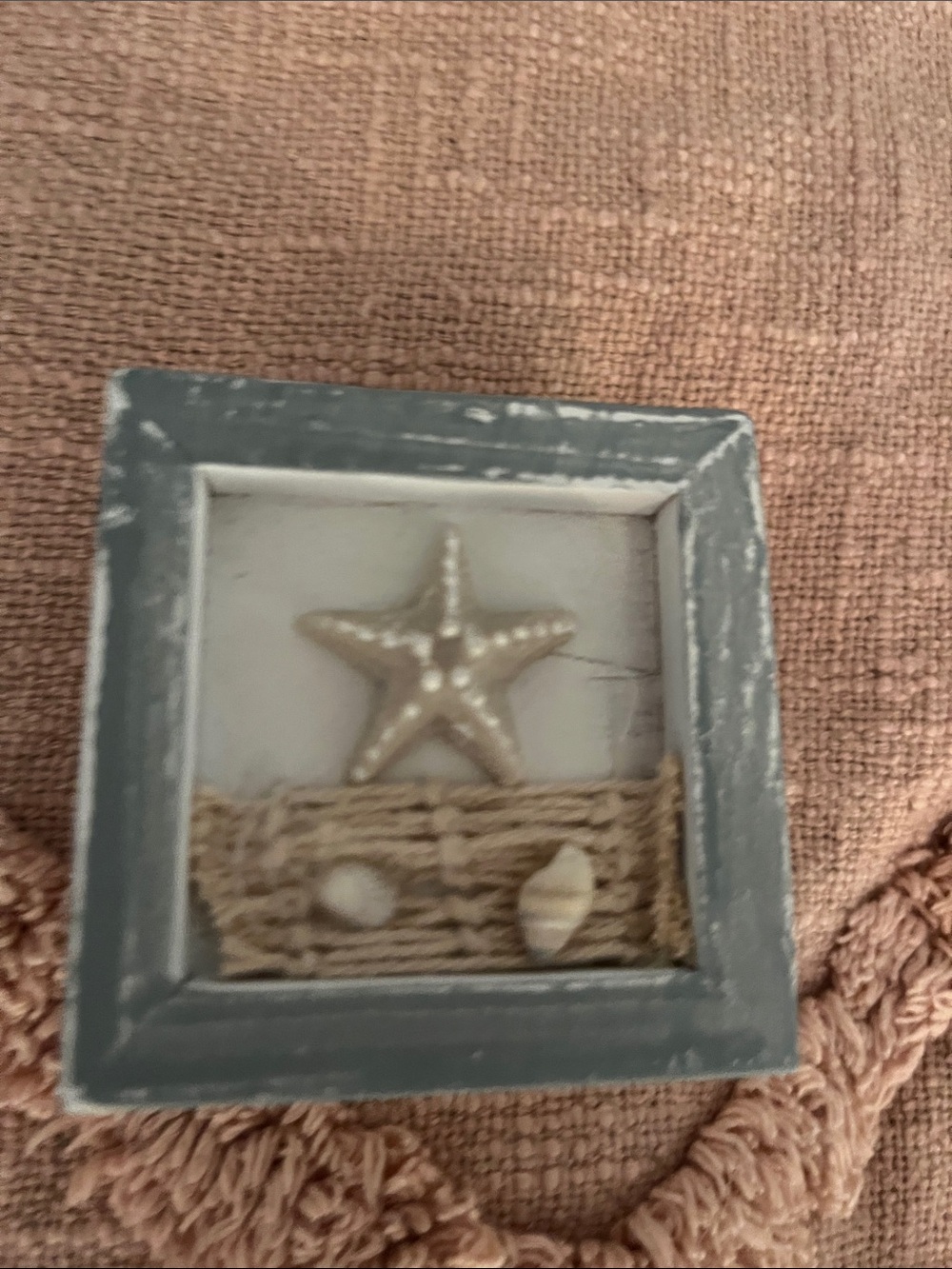 Trinket t Coastal Starfish Shadow Box Wall Accent in Blue-Grey